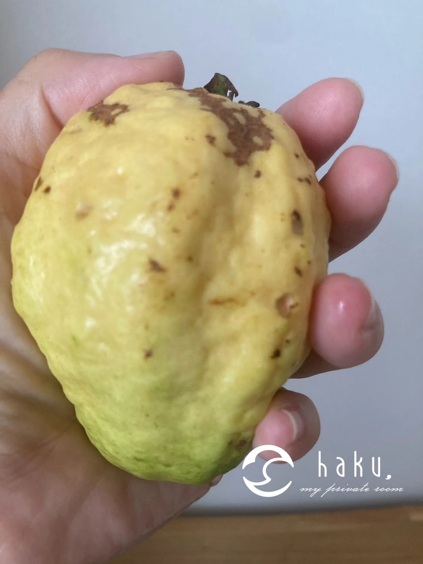 「バンシル（グアバ）のちから」